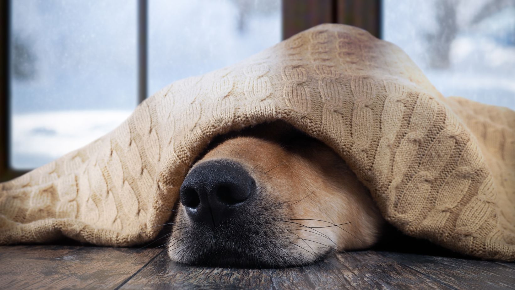 From Vermont, For Vermont The Ultimate Heat Pump Guide Heat Pumps 101