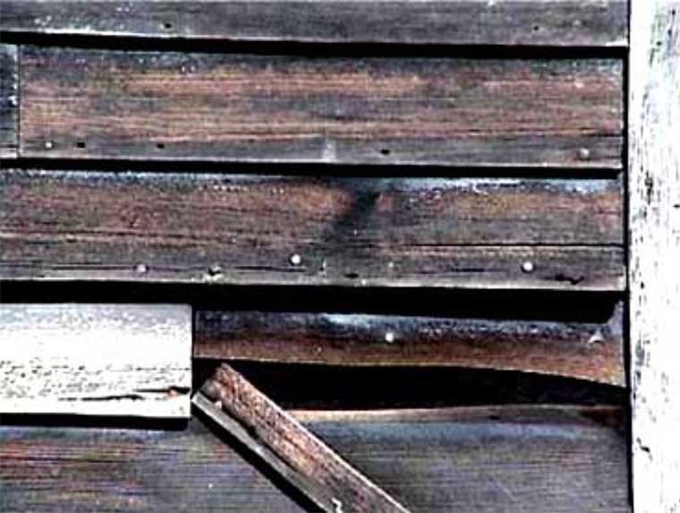 Should I repair or replace my clapboards - watch out for infestation of bugs or rodents. Use a high-performance builder to ensure efficiency, quality and sustainability