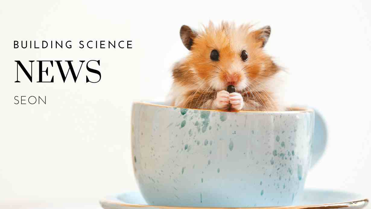 Building Science News
