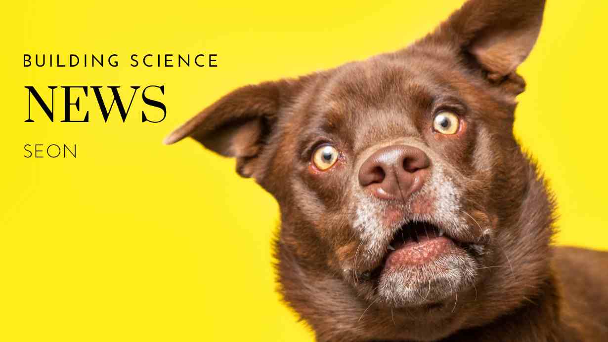 Building Science News